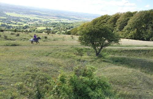 The Old Cider House - Photo 16