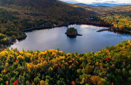 The Bear's Den - Foto 41