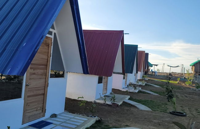 Live N Love - Photo 11