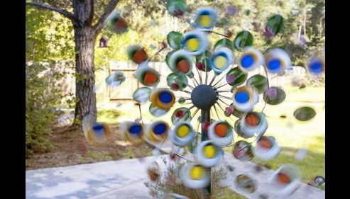 Karen`s Ferngully - Foto 3