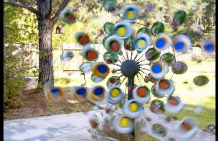 Karen`s Ferngully - Foto 3