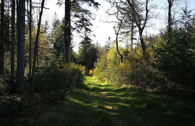 Surf Paradise in Klitmoller - By Traum Ferienwohnungen - Foto 7