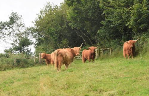 1 Bed in Stoke Abbott 50885 - Photo 17