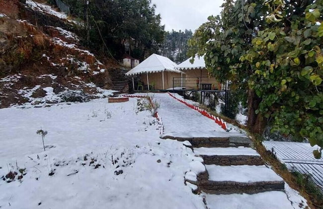Pine pioneer the eco resort - Foto 18