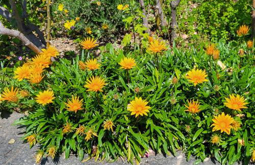 Casa Intignano - Camera con bagno e portico vista lago - Foto 18