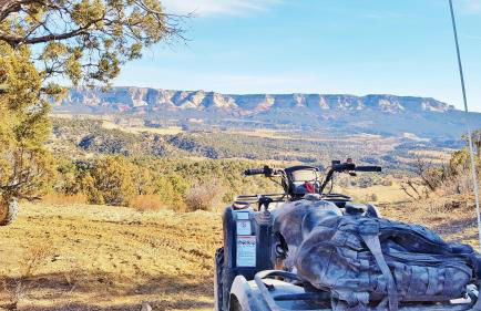 Arrowhead Country Cabins - Foto 42