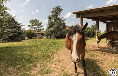 Gîte des moulins - Foto 31