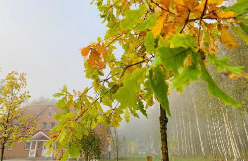 Przystań Piecek - Foto 42