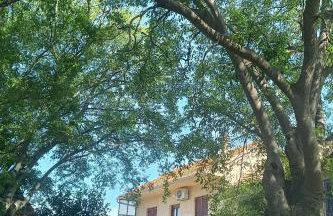 Holiday house with a parking space Siritovci, Krka - 23081 - Photo 1