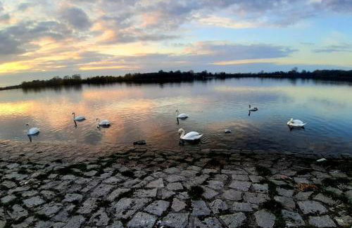 Ferienwohnung Baden Baden Rastatt Elsass - Foto 17