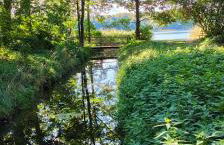 Ferienhaus Im Wäldchen in See Nähe - Photo 41