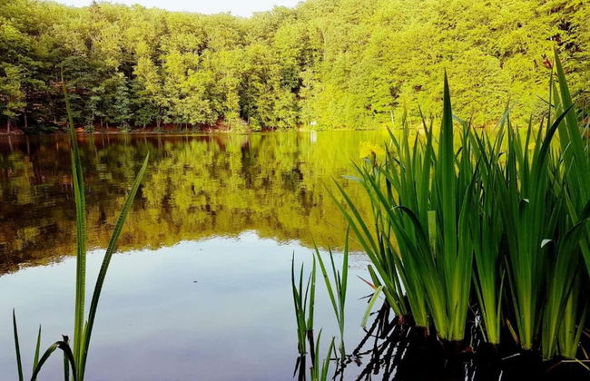 Charmantes Ferienhaus mit Naturgarten - Foto 39