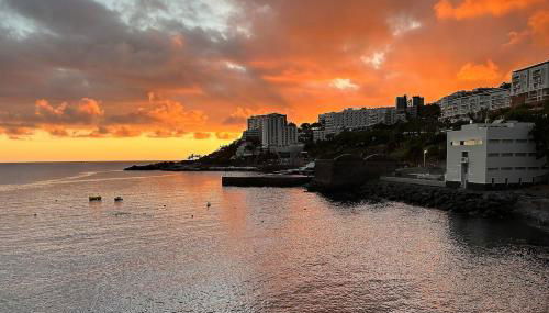 Peace Haven III - Photo 5