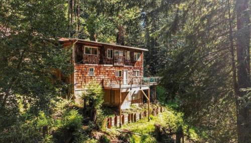 Evergreen Escape - Foto 2