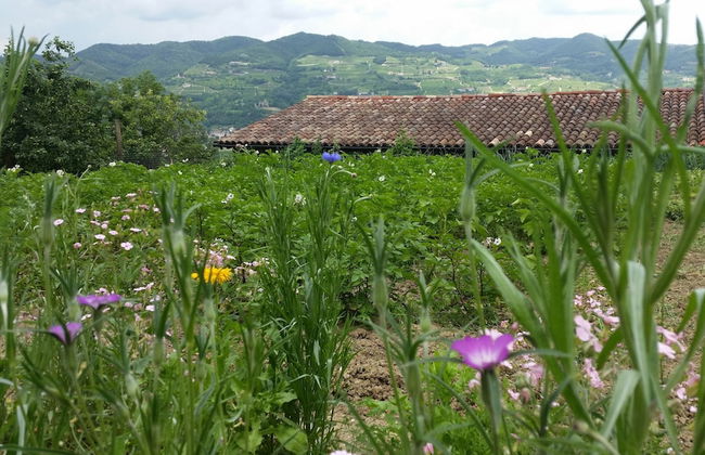 La Luna Buona - Foto 11