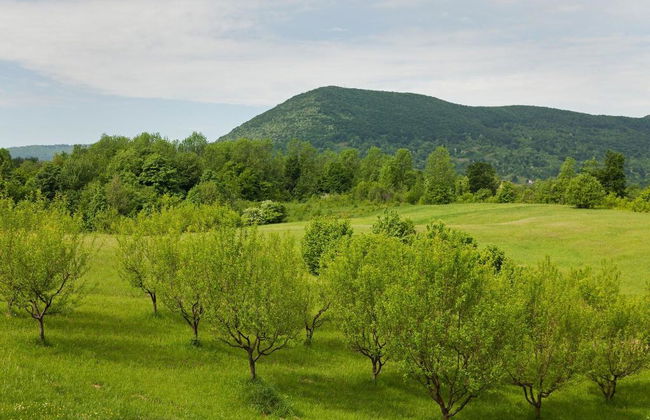 Guesthouse Zafran - Foto 24