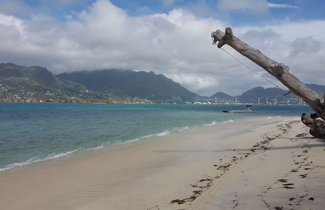 Fairytern Chalets - Photo 10