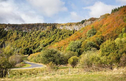 Sancy Resort - Foto 55