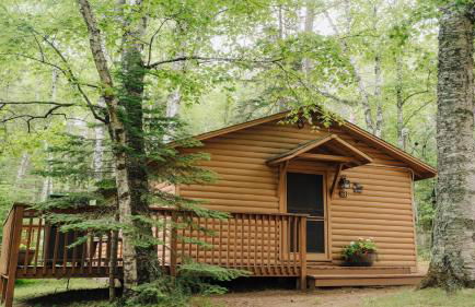 Quintessential Northwoods - Traditional Cabin - Parking - Fast Wi-Fi CB03 - Foto 4