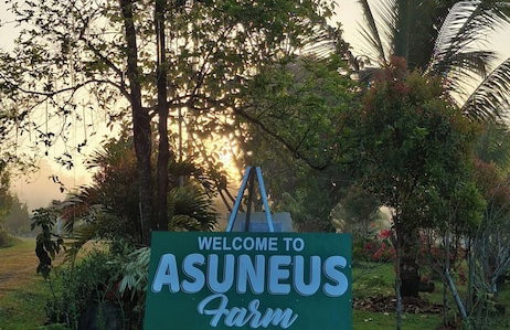 Asuneus Farm - Foto 20
