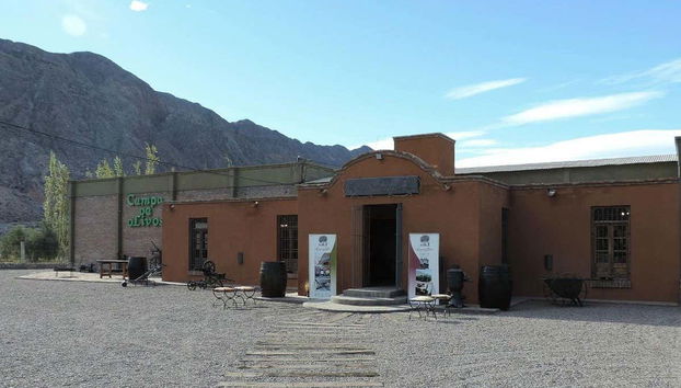 La aceitera Campo de Olivos