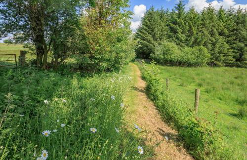 Neuadd Las - Photo 26