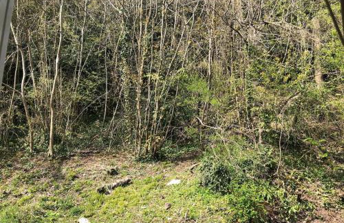 Symonds Yat - Herefordshire property with stunning views - Foto 18