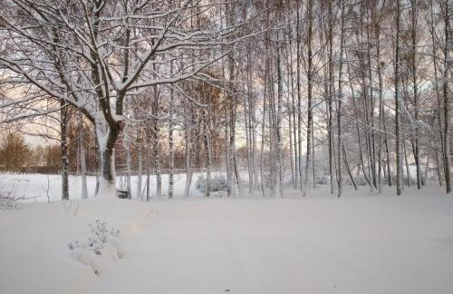 Stajnia Lisewo - Foto 16