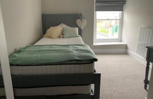 Gwel y Don 12 Tabenacle Street - Photo 10