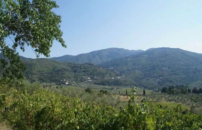 Agriturismo Poggio di Montepescoli - Il Noce - Foto 26