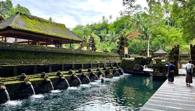 Ubud, Goa Gajah & Central Bali Private Tour - Foto 3