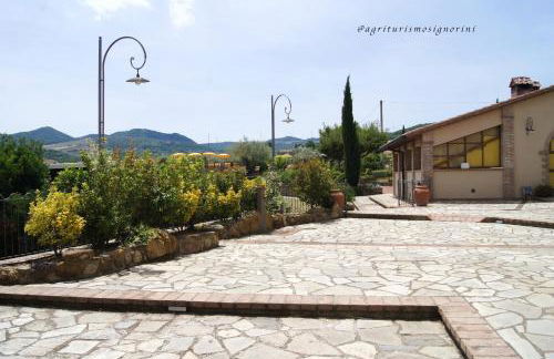 Agriturismo Signorini - Foto 45