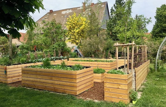 Kastanienhof Erfurt - Foto 73