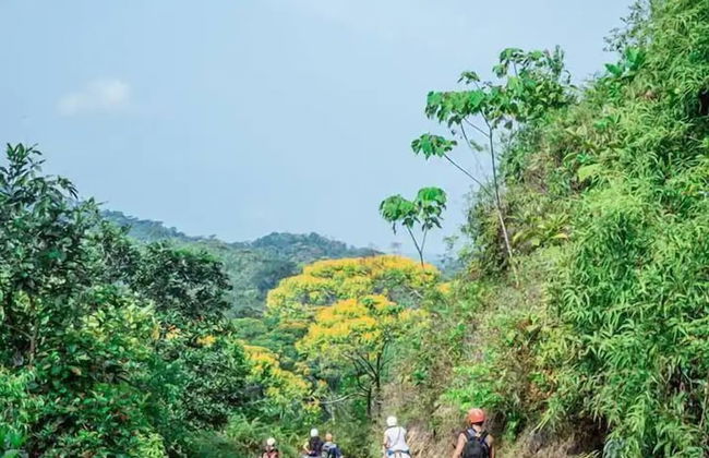 Pura Natura Lodge Arroyo - Foto 31