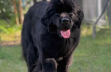 Sea the Blue Garden SPA Odargowo - Foto 38