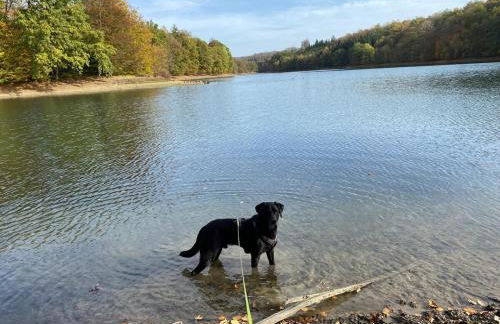 Schöne Ferienwohnung mit Ausblick in die Natur - Foto 29