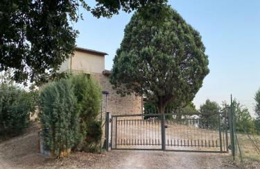 Colle Costanza - Foto 24