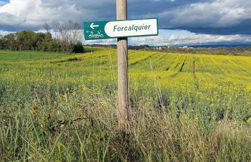 17th Century town house in Forcalquier centre - Foto 39
