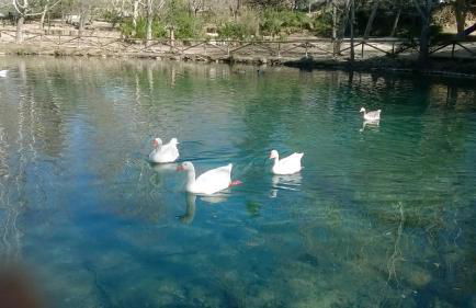 LA CASA AZUL de Anna - Foto 18