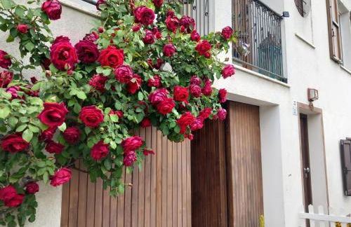 Casa Iride, appartamento con grazioso giardino - Photo 17