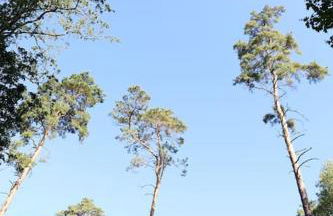 Ferienhaus Bullenberg - Foto 23