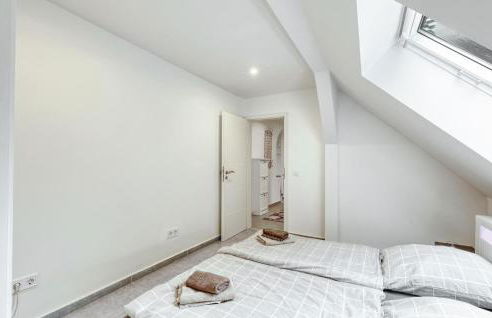 Seepferdchen - Foto 18