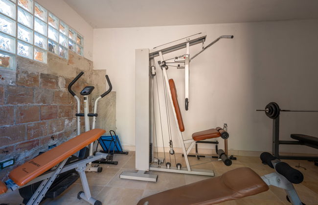 Margherita - Foto 15