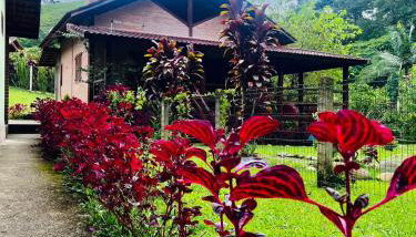 Casa do Bosque - Foto 3, Garden