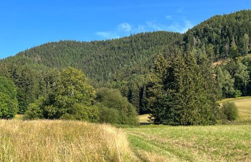 Apartament Empujon Sokołowsko - Foto 31