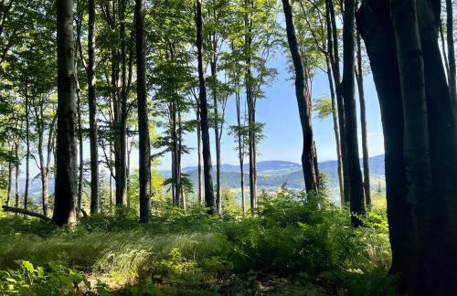 Jaśminowa Pracownia - Foto 19