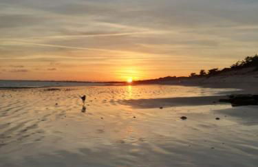 le coquelicot - Foto 11