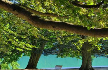 Apartament Fryderyk Łagów - Foto 48