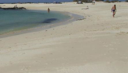 Apartamentos Albaula 5 - Foto 4