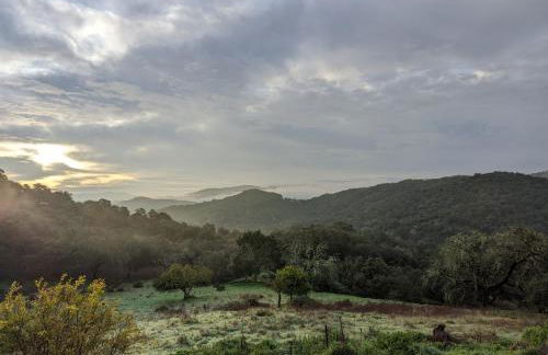 Finca Bravo - Foto 79